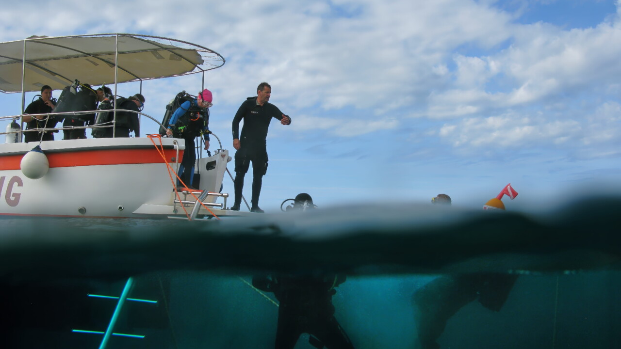 Bath Divers entering the water, Croatia by Brian Darvell